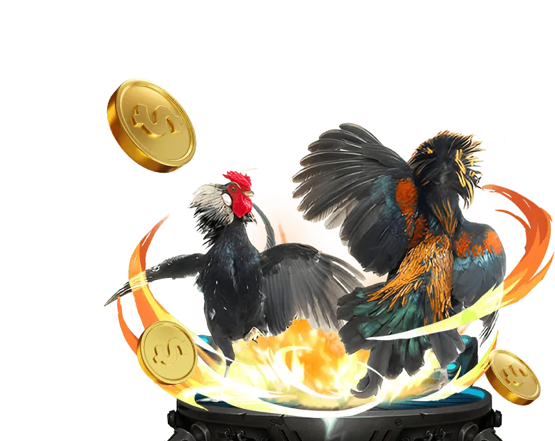 Cá cược bóng rổ tại rikvip